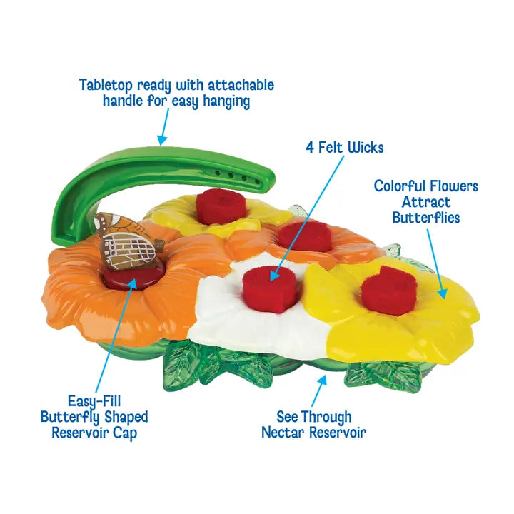 Insect Lore Butterfly Feeder
