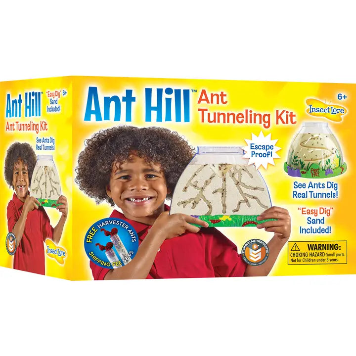Insect Lore Ant Hill
