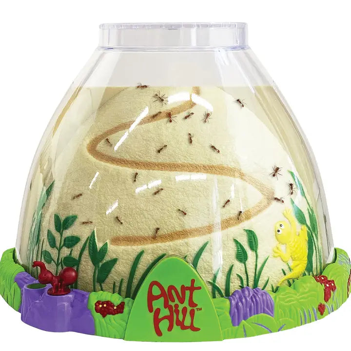 Insect Lore Ant Hill