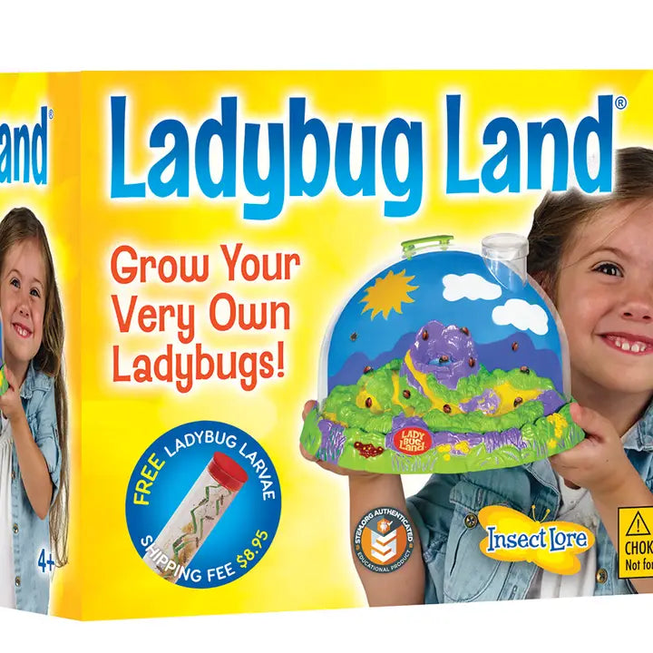 Insect Lore Ladybug Land