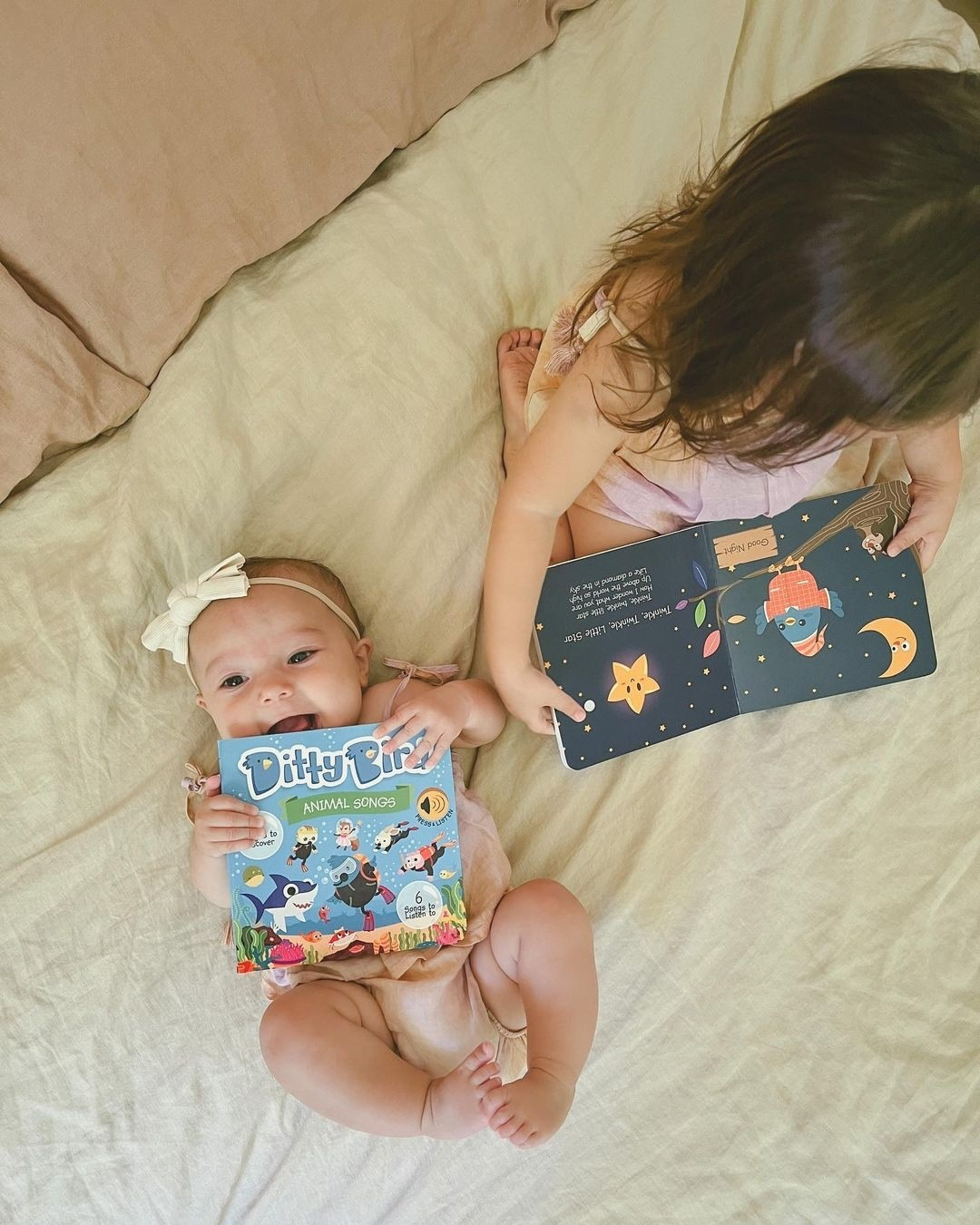 Ditty Bird Book:Animal songs incl.Baby Shark- Best Toys