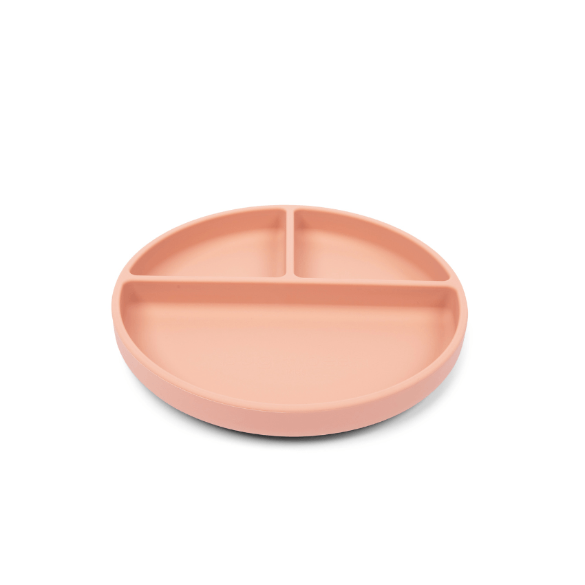 Bug & Bean Silicone Suction Plate with Lid - Muted Clay