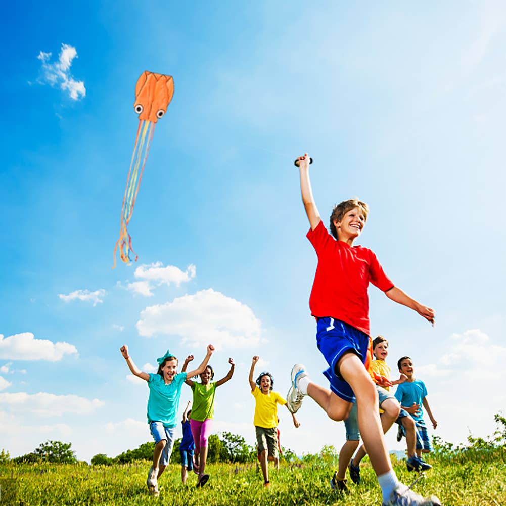 Fun Little Toys Rainbow and Octopus Kites for Kids and Adults