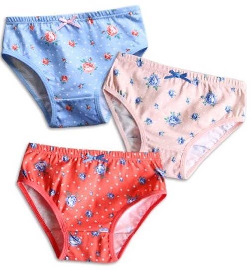 Vaenait Flower Garden Girls Bikini Briefs 3 Pack Underwear