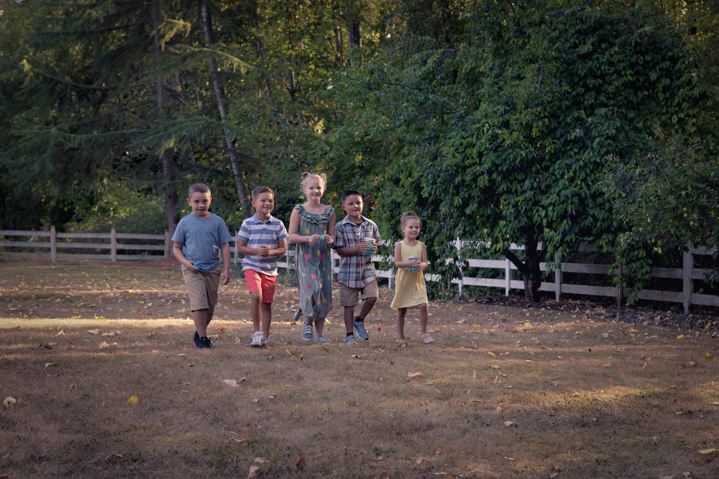 Toysmith Chasing Fireflies Kids Game