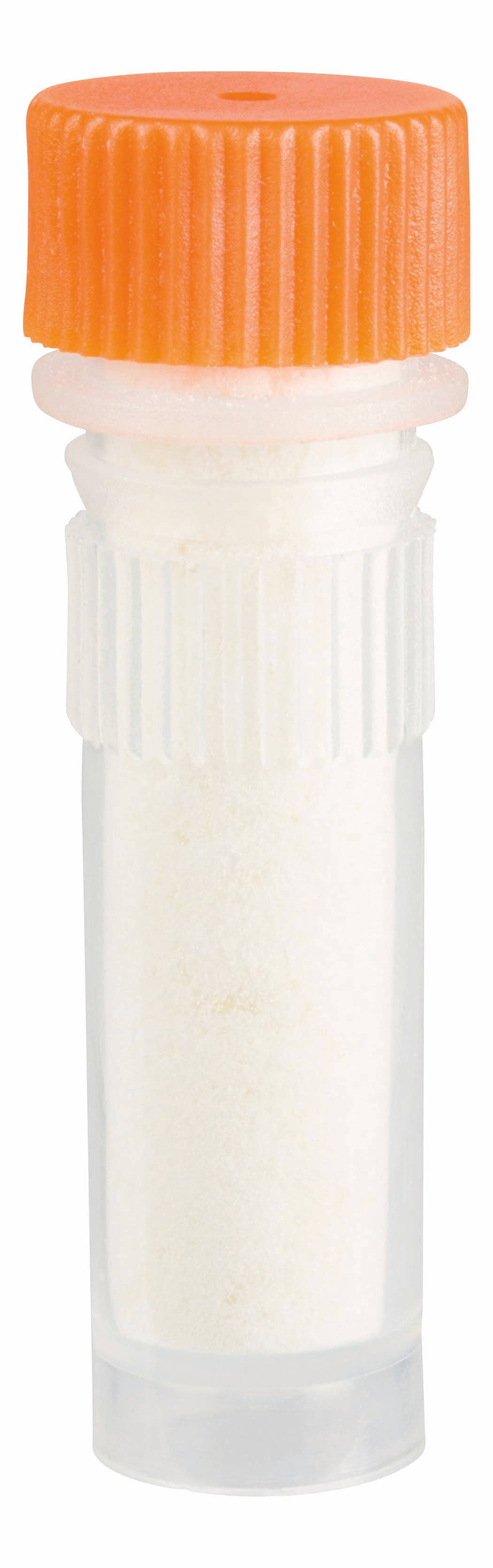 Beetle & Bee Bird Call -  Certified, Outdoor Play