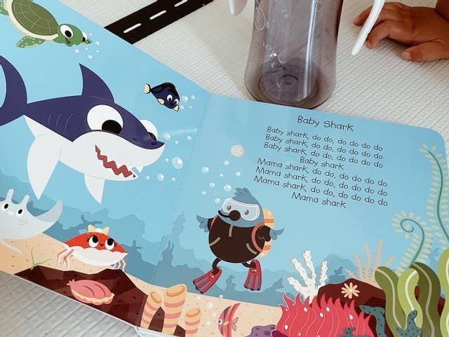 Ditty Bird Book:Animal songs incl.Baby Shark- Best Toys