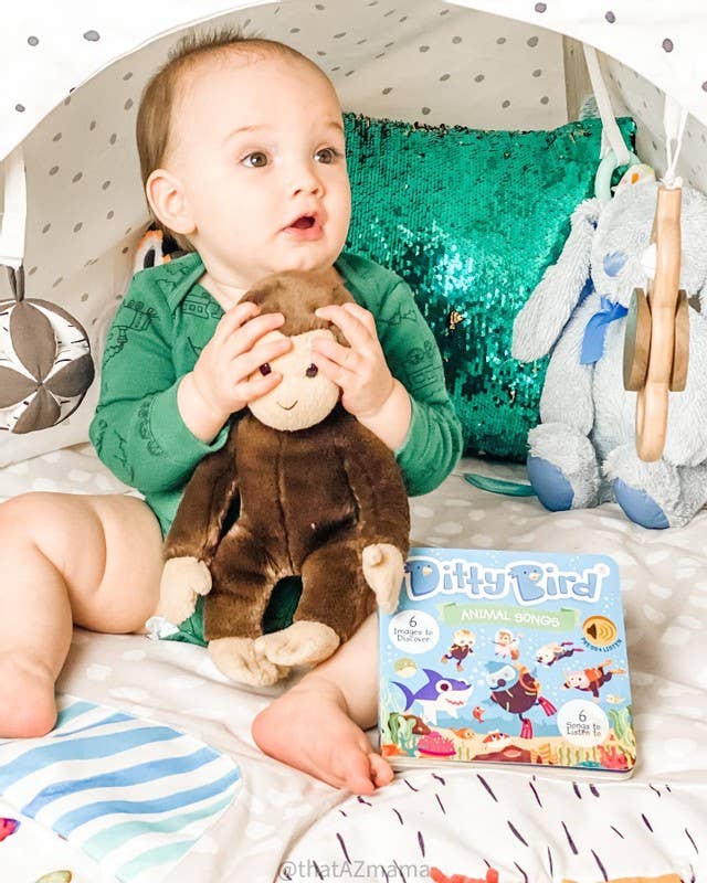 Ditty Bird Book:Animal songs incl.Baby Shark- Best Toys